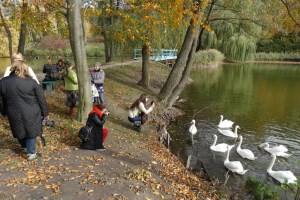 Дендропарк Тростянец